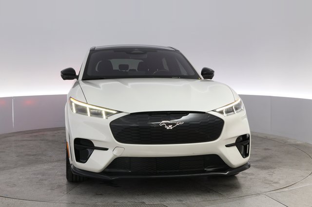 2022 Ford Mustang Mach-E — photo 9 of 22