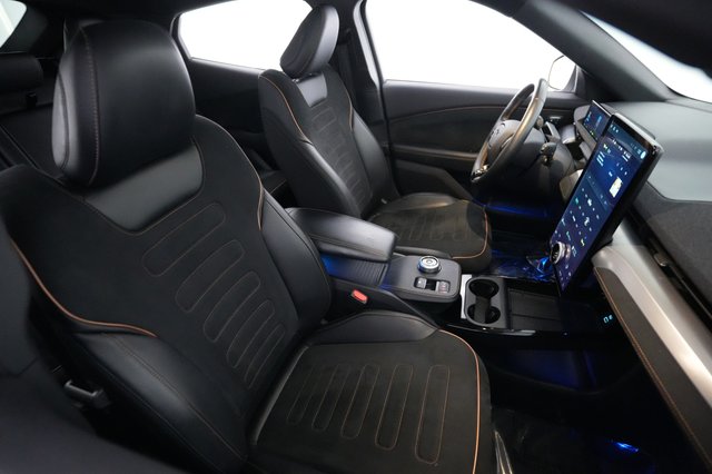 2022 Ford Mustang Mach-E — photo 19 of 22
