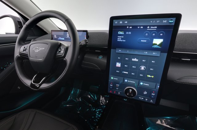 2024 Ford Mustang Mach-E — photo 20 of 23