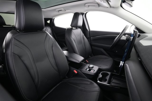 2024 Ford Mustang Mach-E — photo 18 of 23