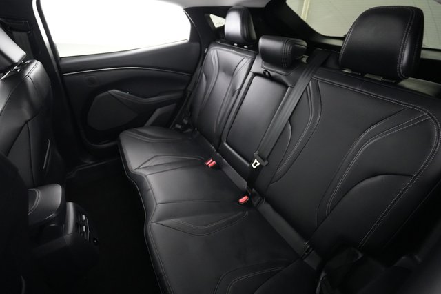 2024 Ford Mustang Mach-E — photo 19 of 23