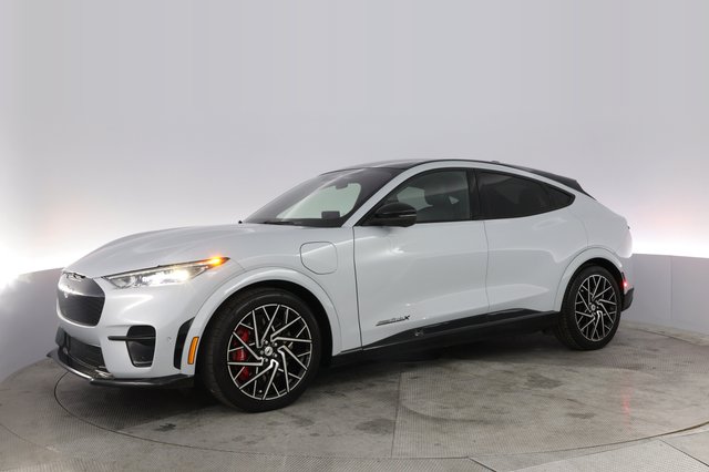 2022 Ford Mustang Mach-E — photo 14 of 20
