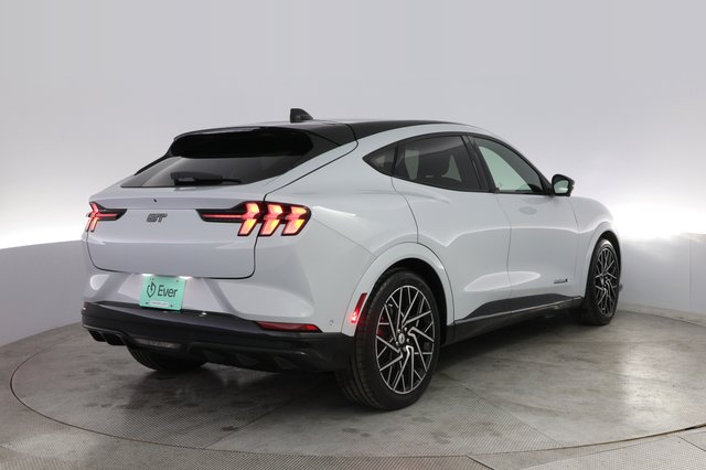 2022 Ford Mustang Mach-E — photo 2 of 20