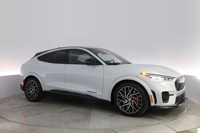 2022 Ford Mustang Mach-E — photo 11 of 20
