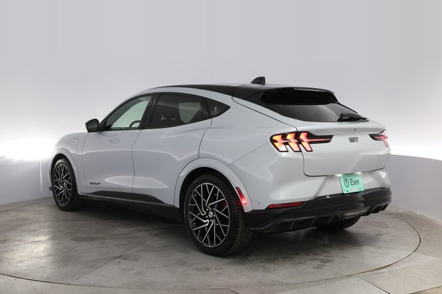 2022 Ford Mustang Mach-E — photo 13 of 20