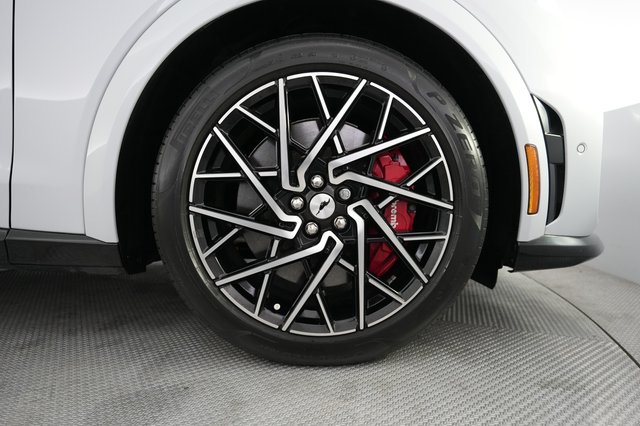 2022 Ford Mustang Mach-E — photo 16 of 20