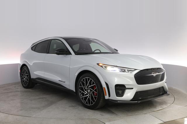 2022 Ford Mustang Mach-E — photo 10 of 20