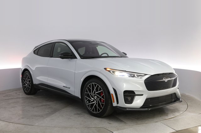 2022 Ford Mustang Mach-E — photo 10 of 20