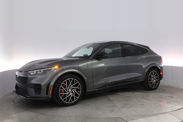 2023 Ford Mustang Mach-E — photo 14 of 24
