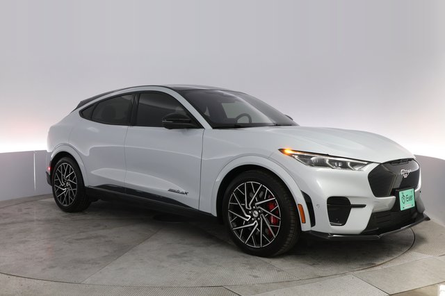2023 Ford Mustang Mach-E — photo 10 of 22