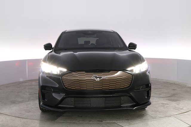 2025 Ford Mustang Mach-E — photo 9 of 21