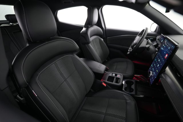 2025 Ford Mustang Mach-E — photo 19 of 21