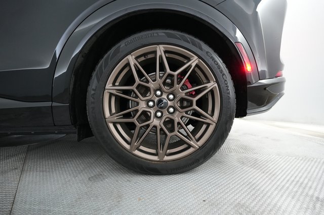 2025 Ford Mustang Mach-E — photo 15 of 21