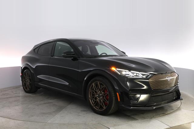 2025 Ford Mustang Mach-E — photo 10 of 21
