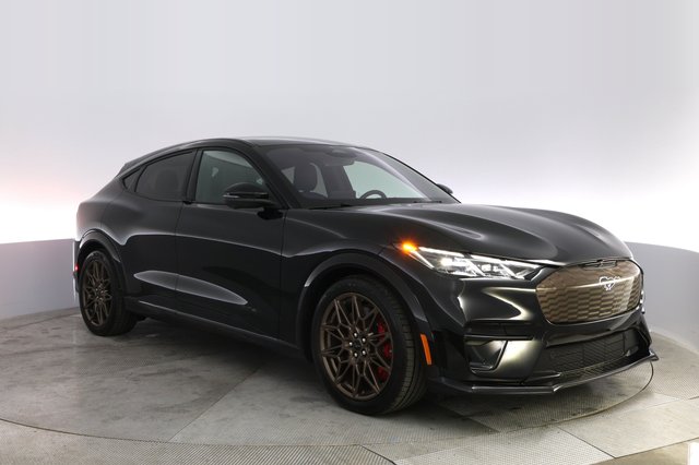 2025 Ford Mustang Mach-E — photo 10 of 21