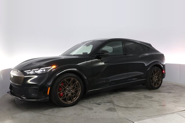 2025 Ford Mustang Mach-E — photo 14 of 21