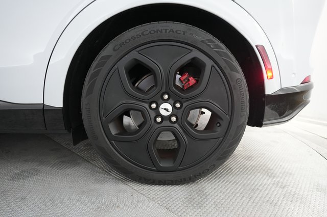 2022 Ford Mustang Mach-E — photo 15 of 21