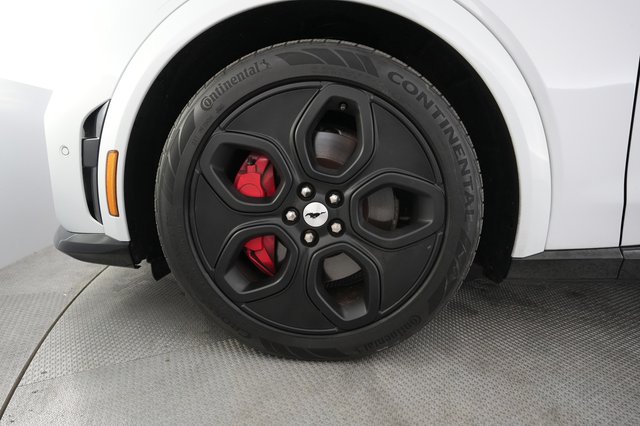 2022 Ford Mustang Mach-E — photo 16 of 21