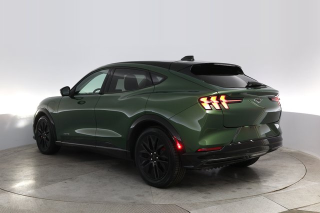 2025 Ford Mustang Mach-E — photo 13 of 25