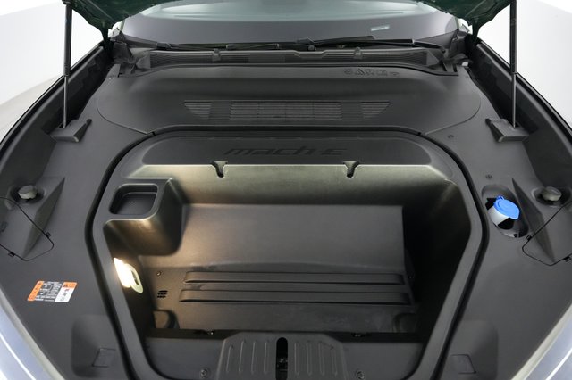 2025 Ford Mustang Mach-E — photo 21 of 25