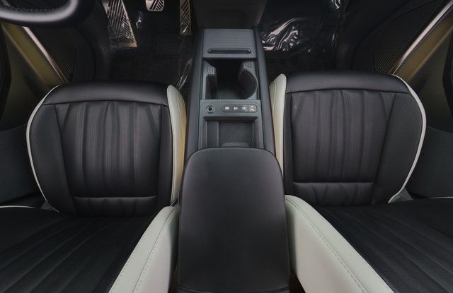 2024 Kia EV9 — photo 22 of 24