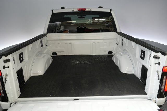 2025 Ford F-150 Lightning — photo 6 of 15