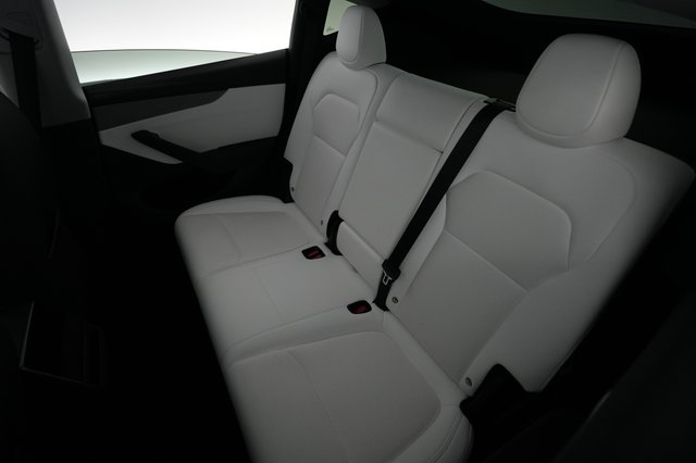 2026 Tesla Model Y — photo 19 of 24