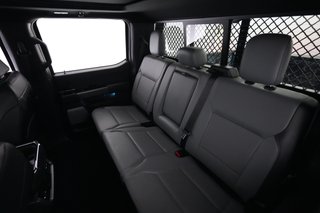 2023 Ford F-150 Lightning — photo 13 of 15