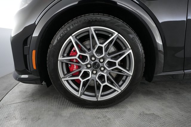 2025 Ford Mustang Mach-E — photo 15 of 21