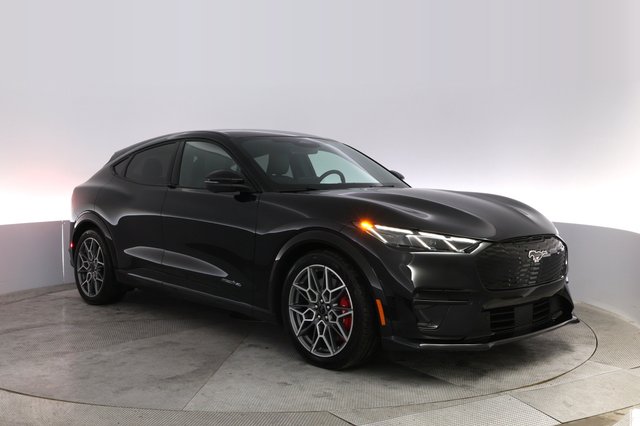 2025 Ford Mustang Mach-E — photo 10 of 21