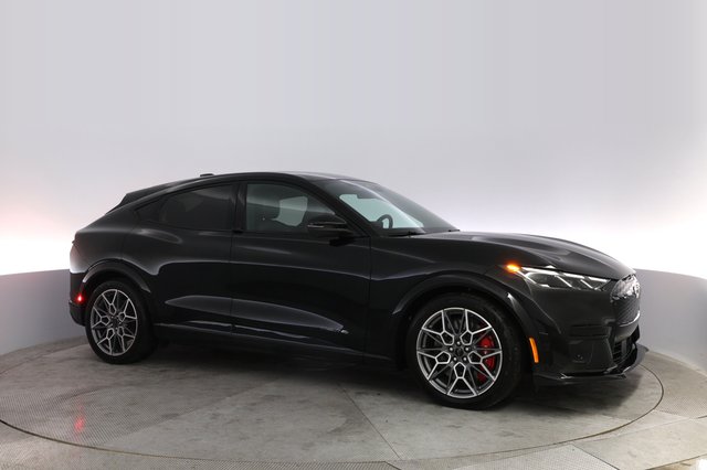 2025 Ford Mustang Mach-E — photo 11 of 21