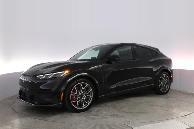 2025 Ford Mustang Mach-E — photo 14 of 21