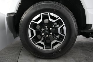 2023 Ford F-150 Lightning — photo 9 of 15