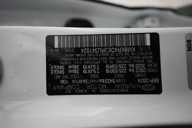 2024 Hyundai IONIQ 5 — photo 21 of 21