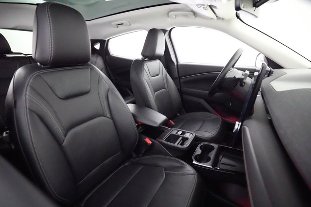 2025 Ford Mustang Mach-E — photo 18 of 20