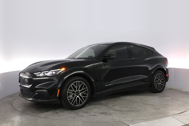 2025 Ford Mustang Mach-E — photo 14 of 20