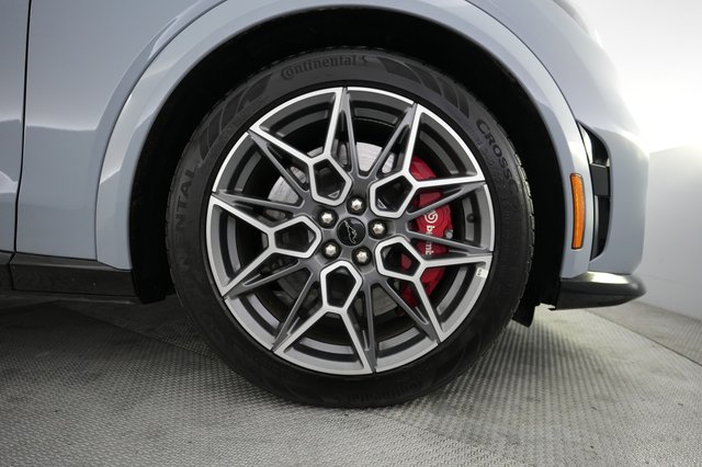 2025 Ford Mustang Mach-E — photo 15 of 20