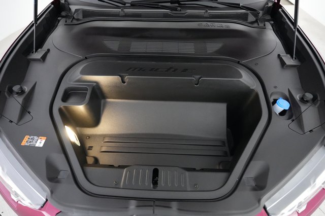 2025 Ford Mustang Mach-E — photo 22 of 23