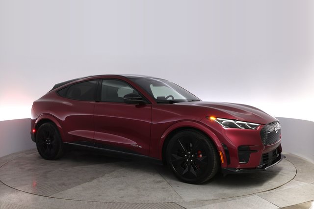 2025 Ford Mustang Mach-E — photo 11 of 23