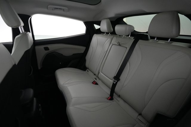 2021 Ford Mustang Mach-E — photo 19 of 21