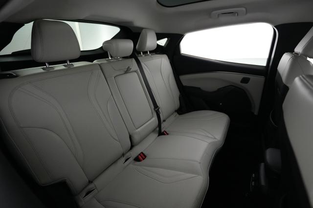 2021 Ford Mustang Mach-E — photo 4 of 21
