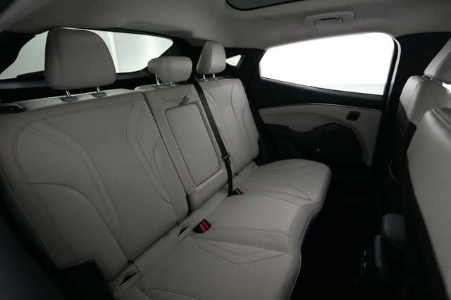 2021 Ford Mustang Mach-E — photo 4 of 21