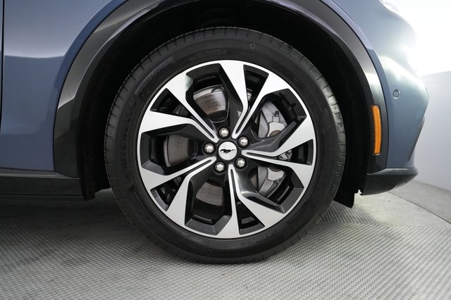 2021 Ford Mustang Mach-E — photo 16 of 21