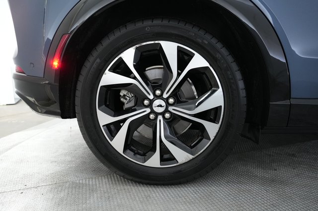 2021 Ford Mustang Mach-E — photo 17 of 21