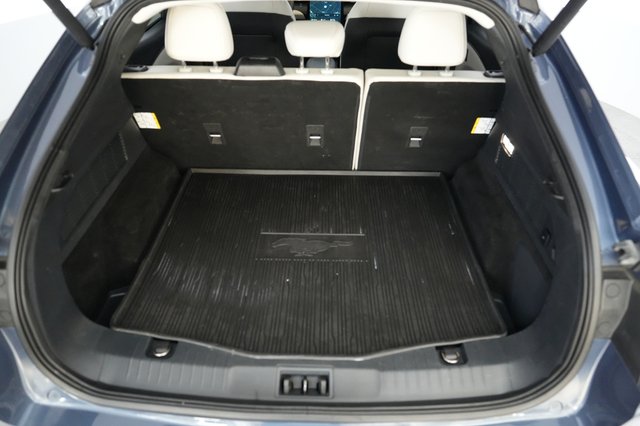 2021 Ford Mustang Mach-E — photo 6 of 21