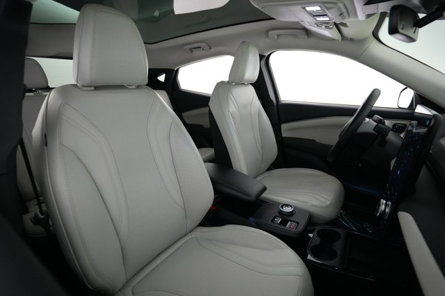 2021 Ford Mustang Mach-E — photo 18 of 21