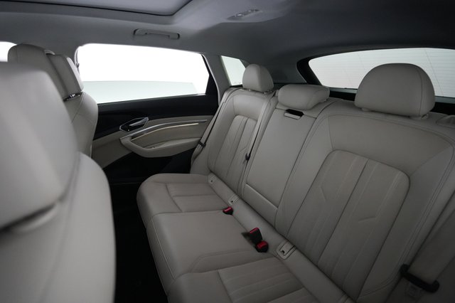 2019 Audi e-tron — photo 19 of 21