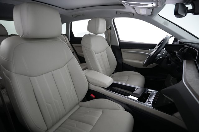 2019 Audi e-tron — photo 18 of 22