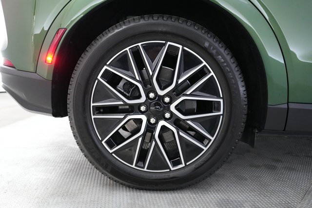 2025 Ford Mustang Mach-E — photo 17 of 21