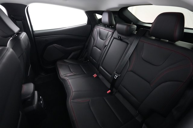 2025 Ford Mustang Mach-E — photo 19 of 21